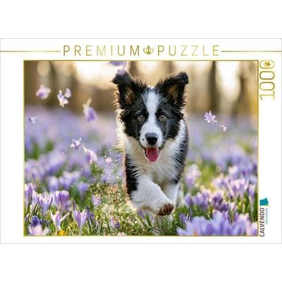 CALVENDO Puzzle Kleiner Sprung ins Glück | 1000 Teile Lege-Größe 64 × 48 cm Foto-Puzzle für glückliche Stunden, von , Calvendo Puzzle