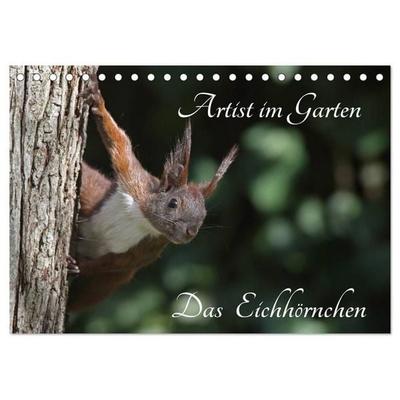 Artist im Garten. Das Eichhörnchen (Tischkalender 2027 DIN A5 quer), CALVENDO Monatskalender