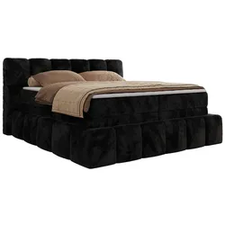 BOXSPRINGBETT NIRA KING 120/200 Schwarz Plüsch - H3