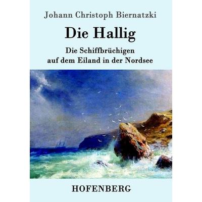 Die Hallig, Taschenbuch von Johann Christoph Biernatzki, Hofenberg, 978-3-86199-451-0