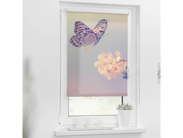 Klemmfix Verdunklungsrollo Schmetterling 70 x 150cm Violett
