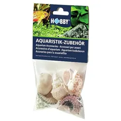 HOBBY Natur Sea Shells Aquarieneinrichtung Set L (5 Stück)