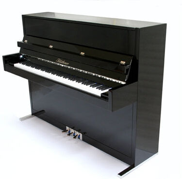 Blüthner Model D