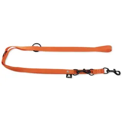 Martin Sellier 3P (Hund, Allgemein, Hundesport, Spazieren), Halsband + Leine