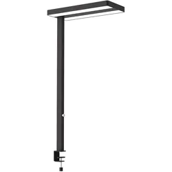 LED-Tischaufbau L. MAULjaval, dimmbar schwarz