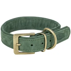 Trixie Pure collar, leather, S–M: 31–37 cm/30 mm, sage (Hund), Halsband + Leine