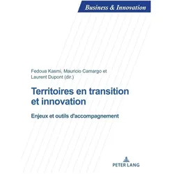 Territoires en transition et innovation, Fachbücher von Laurent Dupont, Mauricio Camargo, Fedoua Kasmi