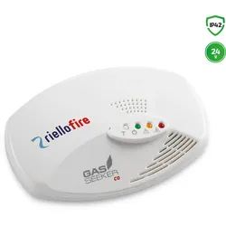 RielloFire konventioneller 12V CO-Gas-Melder GDT220121C
