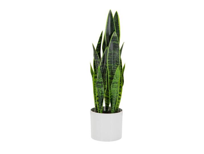 KUNSTPFLANZE SANSEVIERIA