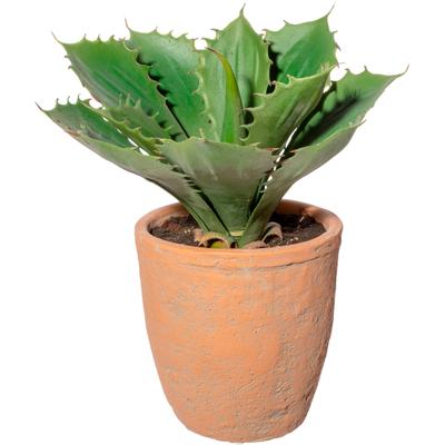 Künstliche Zimmerpflanze CREATIV GREEN "Echeveria im Terracottatopf", grün, H:25cm, Obermaterial: 100% Polyethylen, Kunstpflanzen, Künstliche Zimmerpflanze