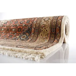 Oriental Collection Bidjar-Teppich Pradesh beige 60 cm x 90 cm