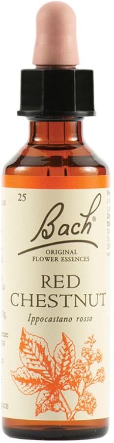 SCHWABE PHARMA ITALIA Srl Red Chestnut Fiori di Bach Originali 20 ml