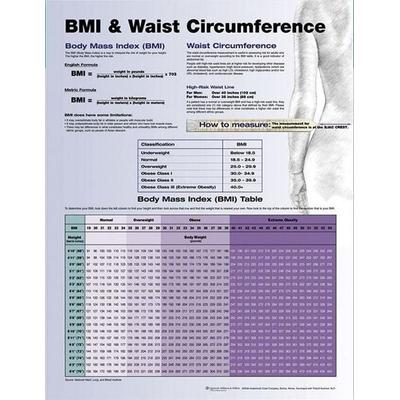 BMI and Waist Circumference, Nonbook von Tbd, Ingram Publishers Services, 978-0-7817-7226-6