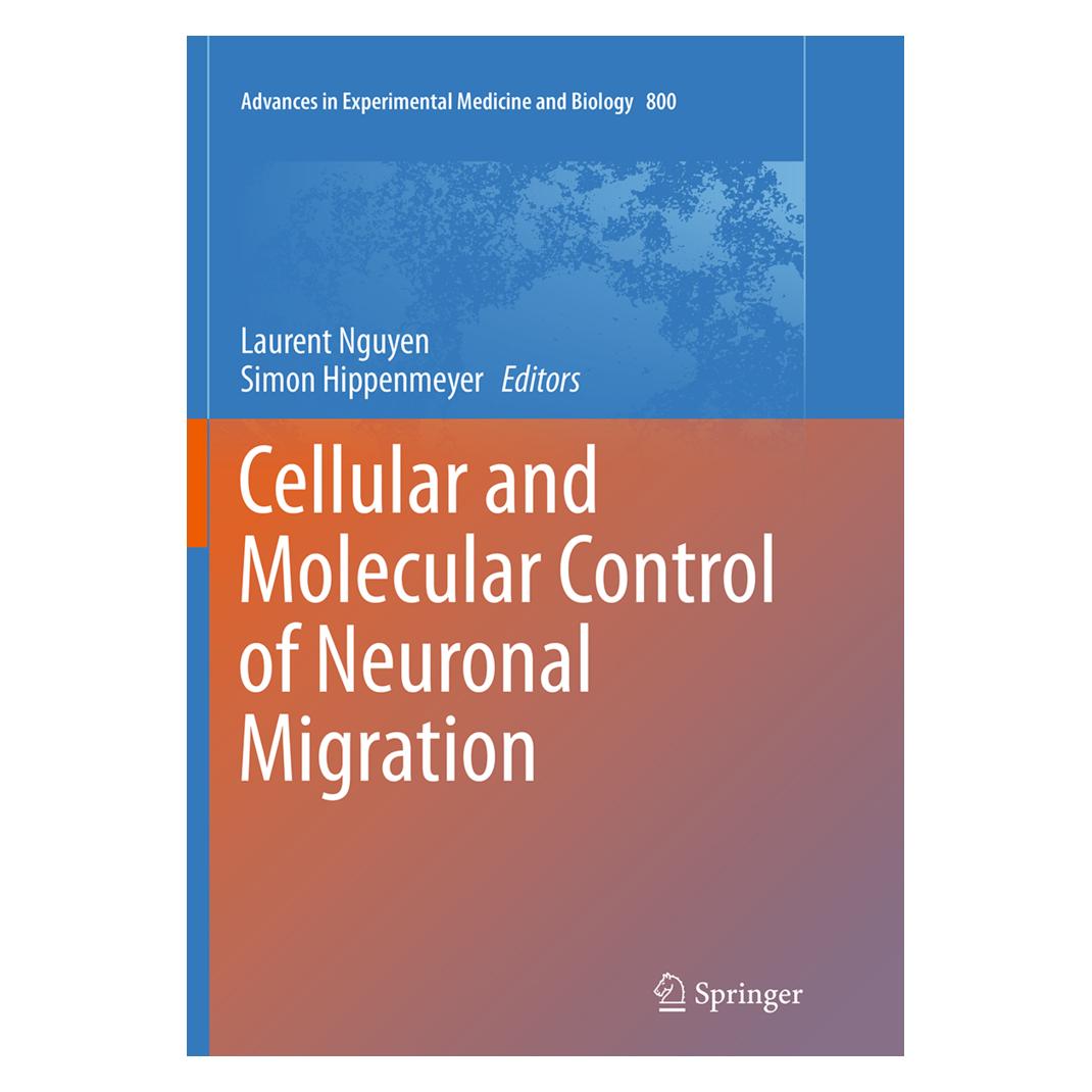 Springer Cellular and Molecular Control of Neuronal Migration (Englisch, Softcover, Laurent Nguyen, Simon Hippenmeyer) (55847083)