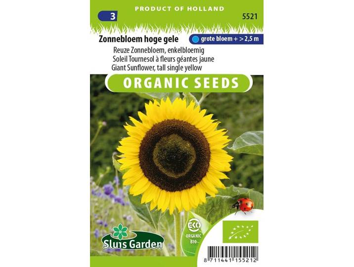 Helianthus Annuus Giganteus zaden Zonnebloem BIO