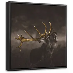 LEINWAND Bilder mit Rahmen - Rotwild - Schwarz - Gold - 20x20