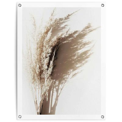 Poster REINDERS "Sonniges Gras", beige (farbe bild(er): beige), B:60cm H:80cm T:0,1cm, Leinwand, Bilder, Poster, Outdoor für Garten oder Balkon