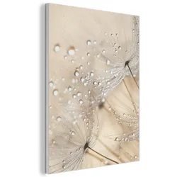 AKUSTIKBILD Löwenzahn - Abstrakt - Natur - Beige Wandbilder 60x80 cm