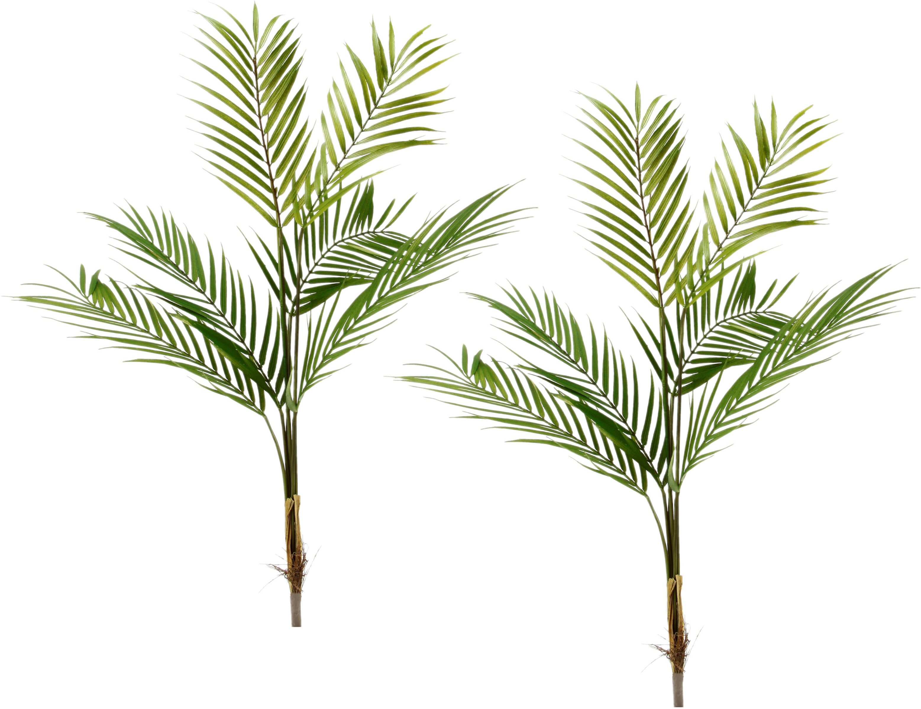 Kunstblume I.GE.A. "Palmzweig", grün, B:50cm H:80cm, Obermaterial: 100% Kunststoff, Kunstpflanzen, Kunstblume, 2er Set