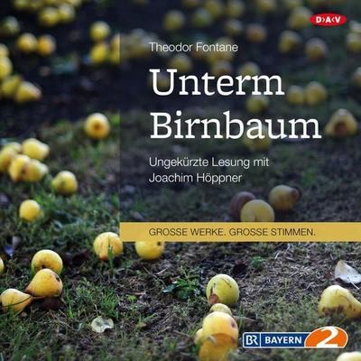Unterm Birnbaum - Theodor Fontane, Audio, 4057664020895