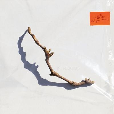 I Inside The Old Year Dying - PJ Harvey, CD