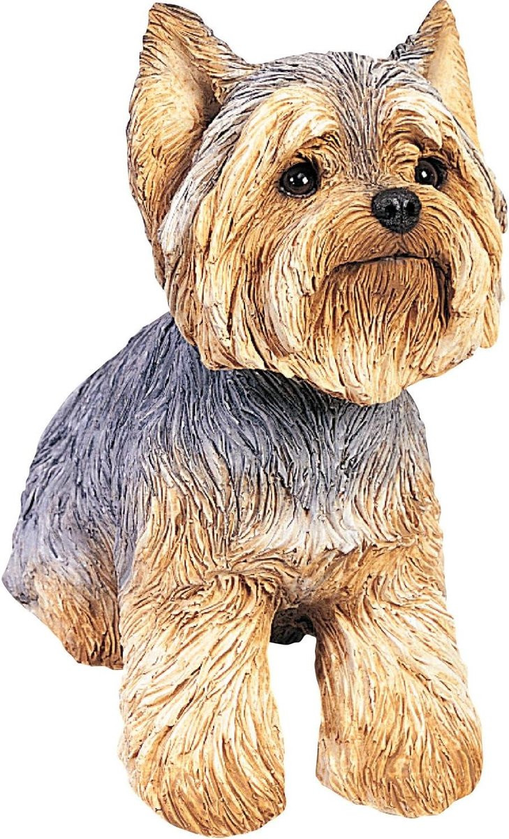 Yorkshire Terrier Beeldje - Bruin - 20 x 20 cm