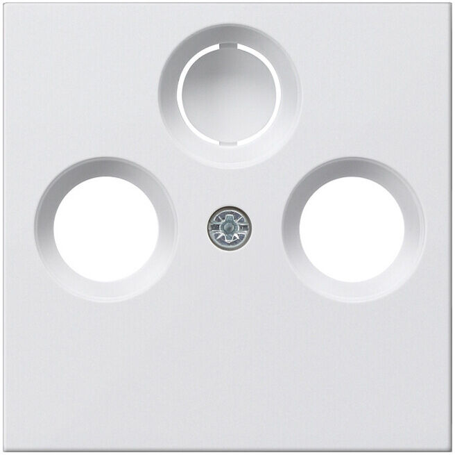Gira Plaque centrale rws-gl pour prise coaxiale 086903 (086903)