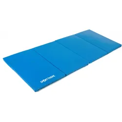Sport-Thieme, Turngerät