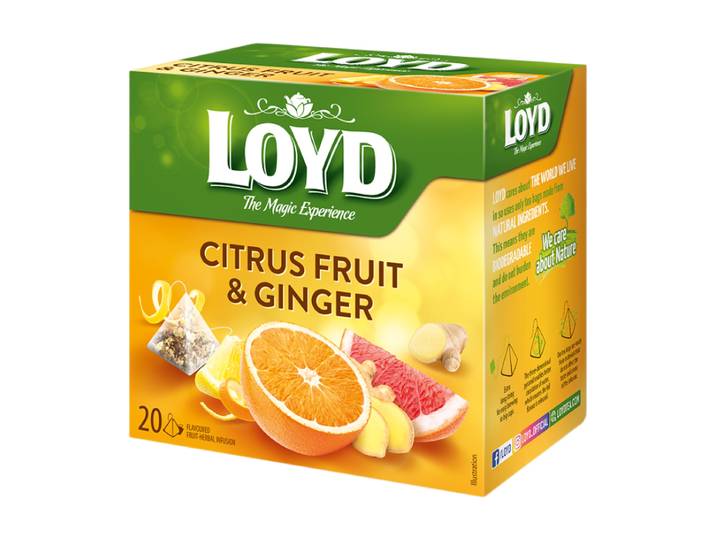 LOYD Infusion au gingembre aux agrumes, 20 sachets de 2 g
