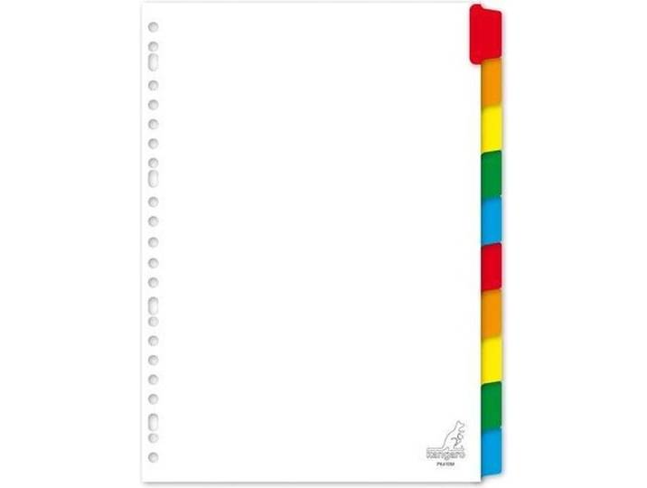 Kangaro PK410M - Tabbladen A4 - 10-delige set - Assorti tabs