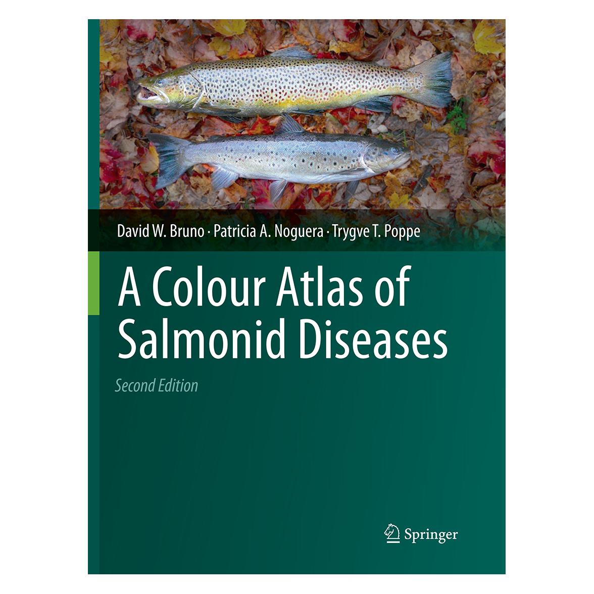 Springer A Colour Atlas of Salmonid Diseases (Englisch, Softcover, David W. Bruno, Patricia A. Noguera, Trygve T. Poppe) (55839272)