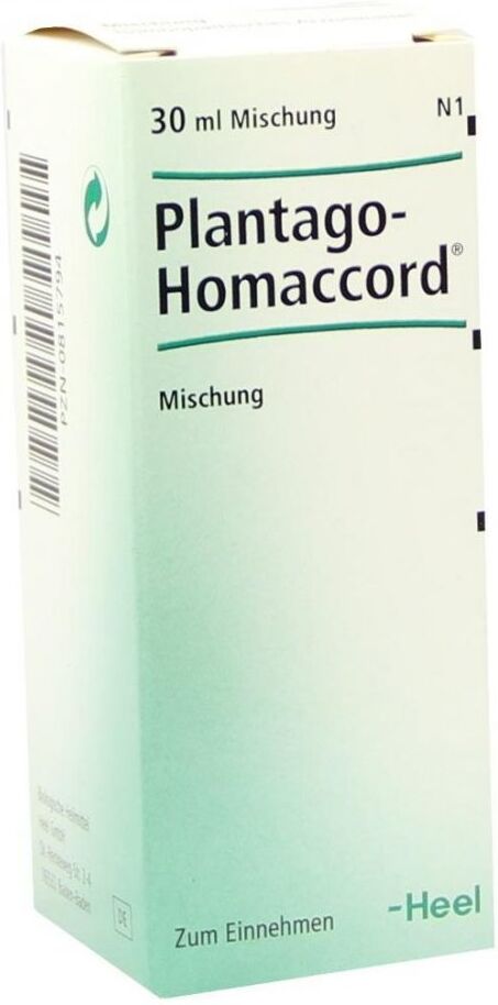 Plantago Homaccord Tropfen 30ml