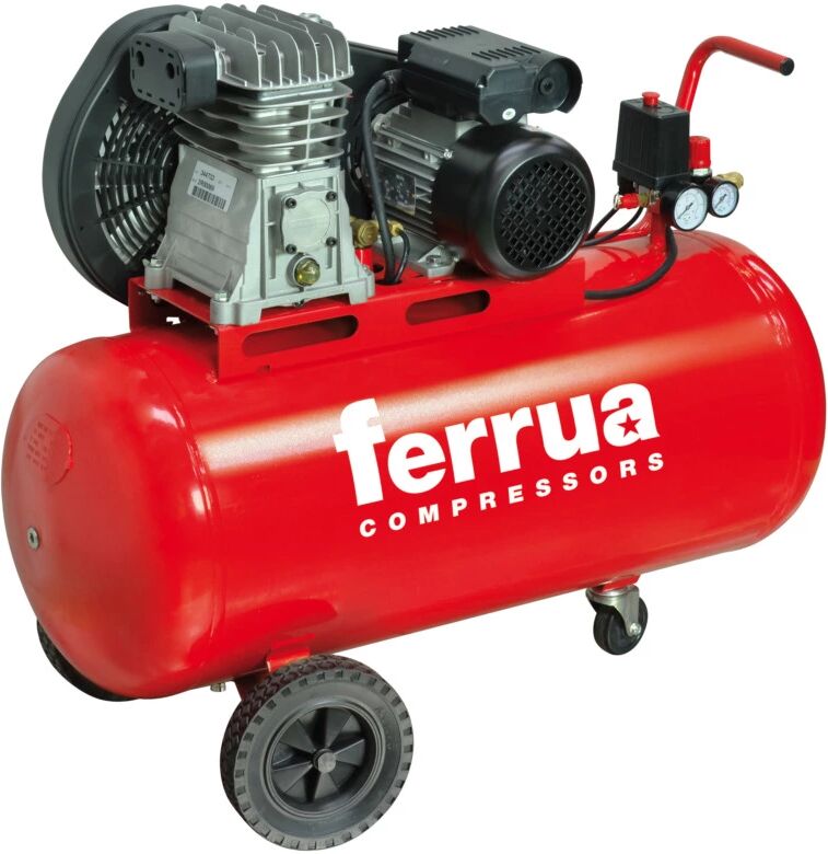 COMP. FERRUA 100LT OLIO CINGHIA