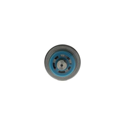 Bosch Kraftstoffdruckregler [Hersteller-Nr. F000DR0219] für Ford