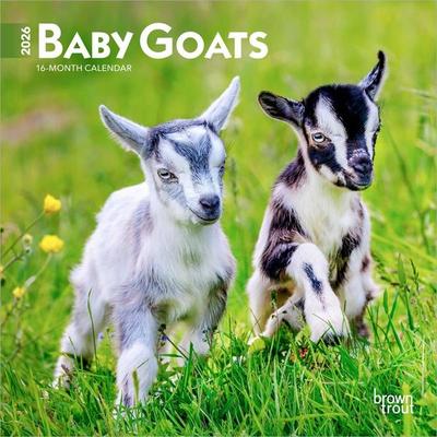 Baby Goats 2026 7 X 14 Inch (Hanging) Monthly Mini Wall Calendar
