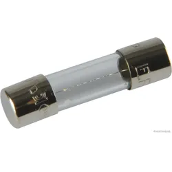 HERTH&BUSS Sicherung, Glas, F flink, 5 x 20mm, 250V max. - 50295051