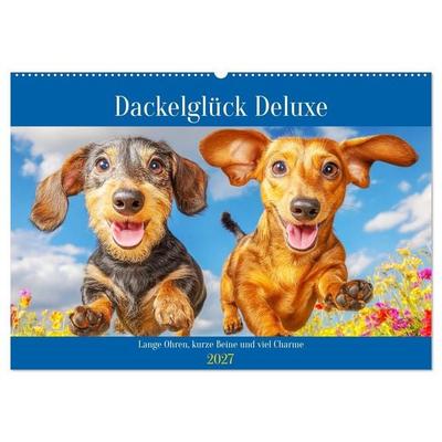 Dackelglück Deluxe. Lange Ohren, kurze Beine und viel Charme (Wandkalender 2027 DIN A2 quer), CALVENDO Monatskalender