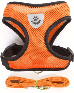 Inspire Picks Adjustable Escape Proof Reflective Cat Harness & Leash Set gold s