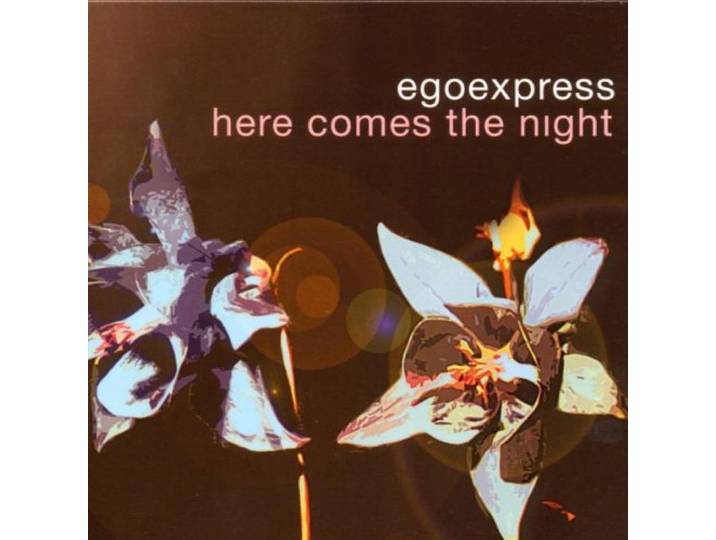 Here Comes the Night