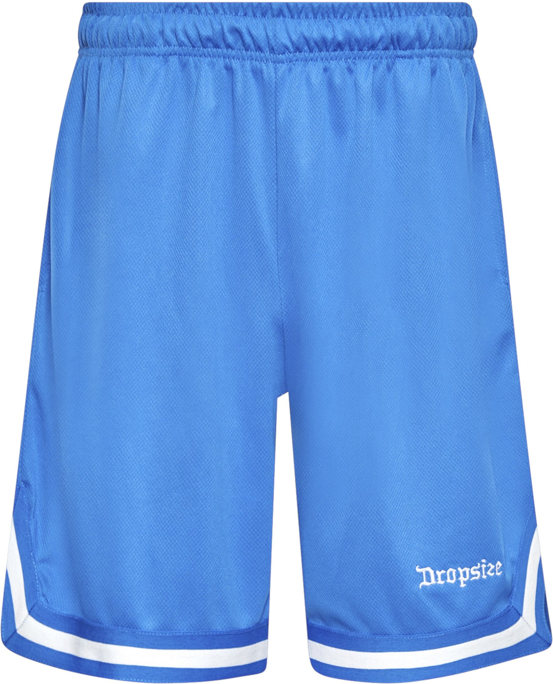 Dropsize "Dropsize Herren Dropsize Logo Mesh Shorts"