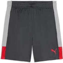 PUMA Herren Shorts IndividualLIGA Training Shorts, Größe XL in Grau Grau