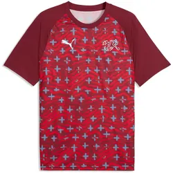 PUMA SFV Schweiz Aufwärmshirt WM 2026 Herren 06 - team regal red/puma white L