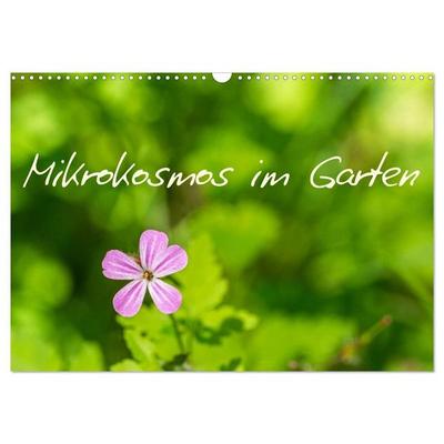 Mikrokosmos im Garten (Wandkalender 2027 DIN A3 quer), CALVENDO Monatskalender