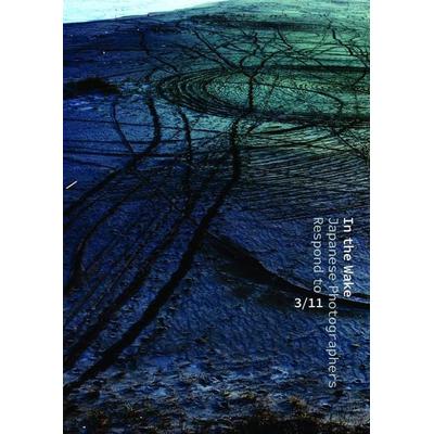In the Wake, Gebundene Ausgabe von , KNV Besorgung, 978-0-87846-827-0