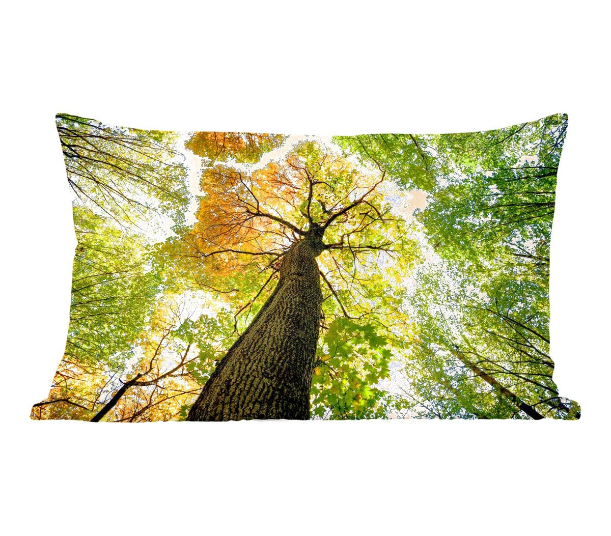 PillowMonkey Sierkussen Boom Natuur Bos B/D: 60 x 40 cm