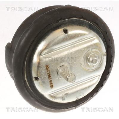 TRISCAN Lagerung, Motor 850511100 für BMW
