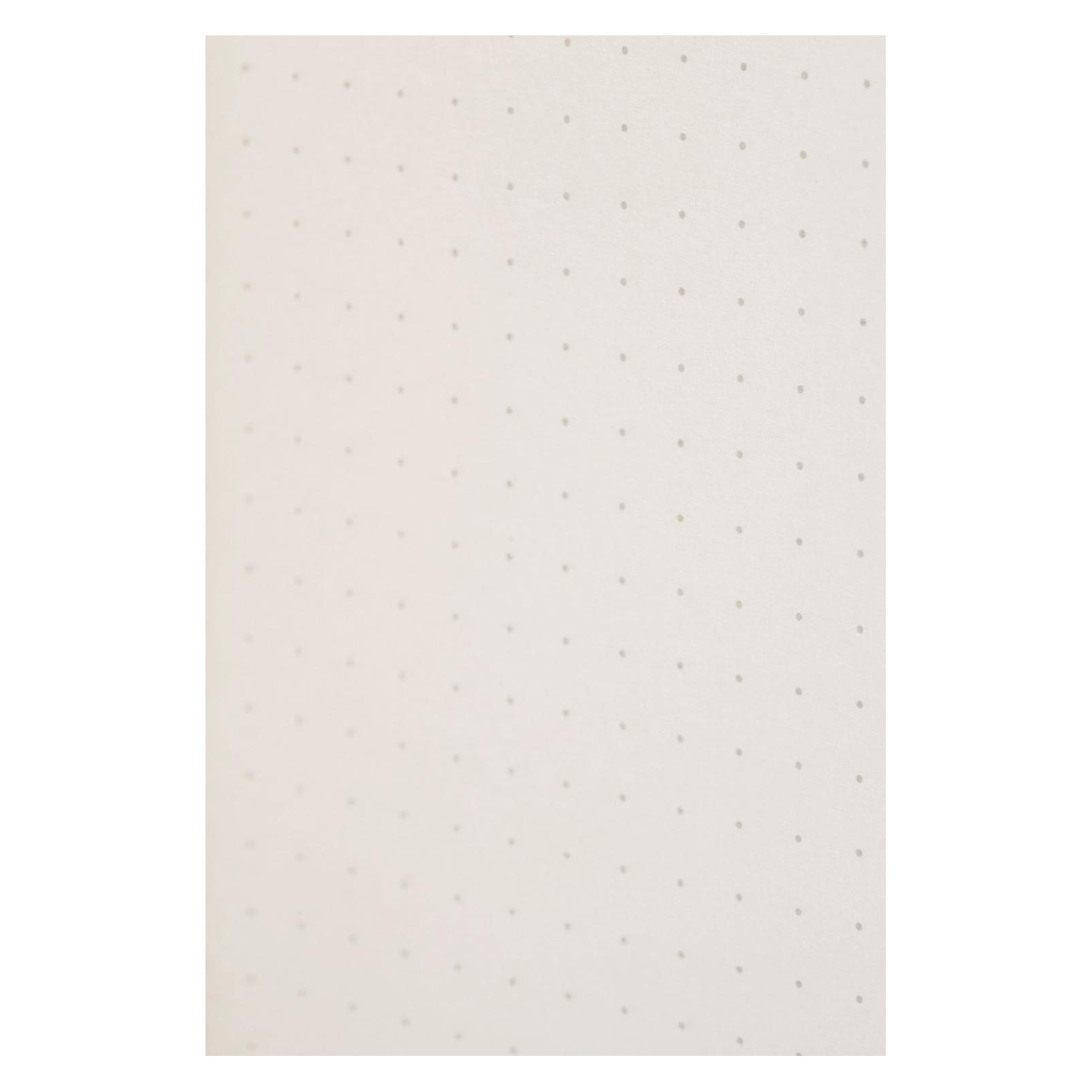 Astra Notes Field Notes Pitch Black Memo Small Kropki (Gepunktet) (58275926)