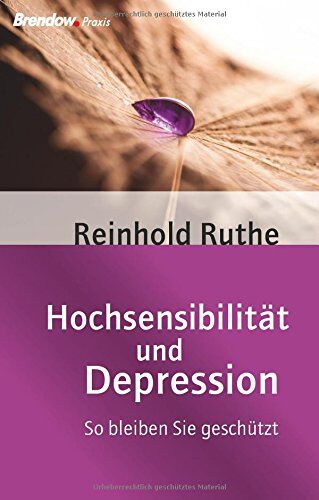 Reinhold Ruthe - Hochsensibilität und Depression: So bleiben Sie geschützt - Preis vom 09.10.2026 07:28:09 h