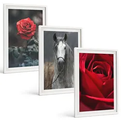 BILDER SET 3er Set - 40x60 cm Weißer Rahmen - Rote Rosen, Pferdegrau, Welt