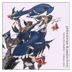 Diggers Factory, Schallplatten, Birds Of A Feather Volume 1 (VINYL) (PHILANTHROPE & PSALM TREES)